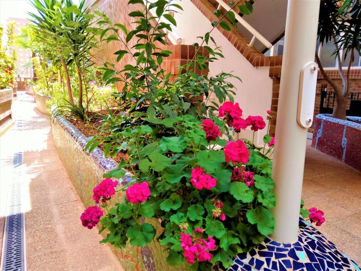 Acv - Costa Marfil II - 2ª Linea, Planta 2, Sur Apartment Oropesa del Mar Ngoại thất bức ảnh